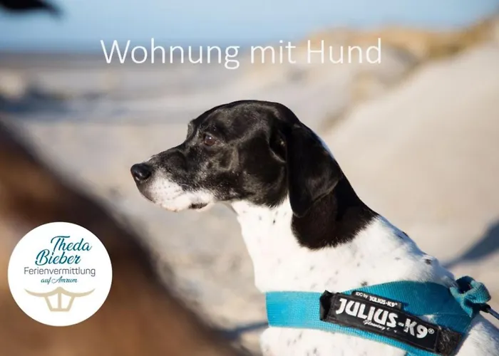 Amrumer Strandhaven Wittdün